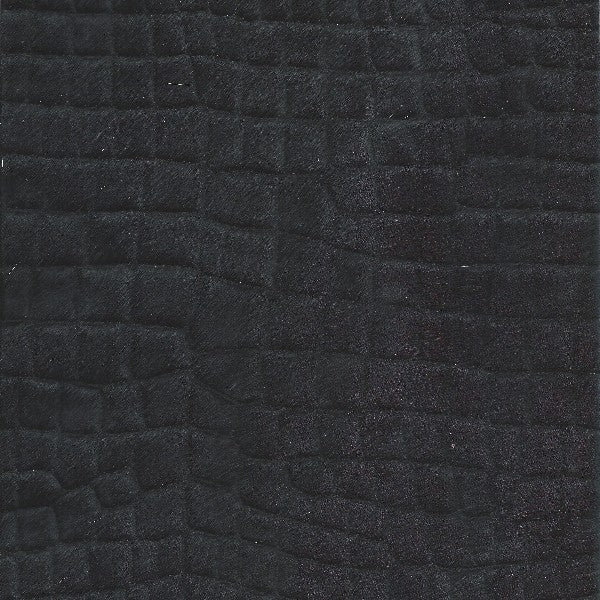 Crocodile Basic / 1-S34