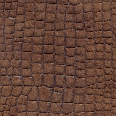 Crocodile Basic Brown / C2-S34