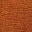Sunflower (as shown)