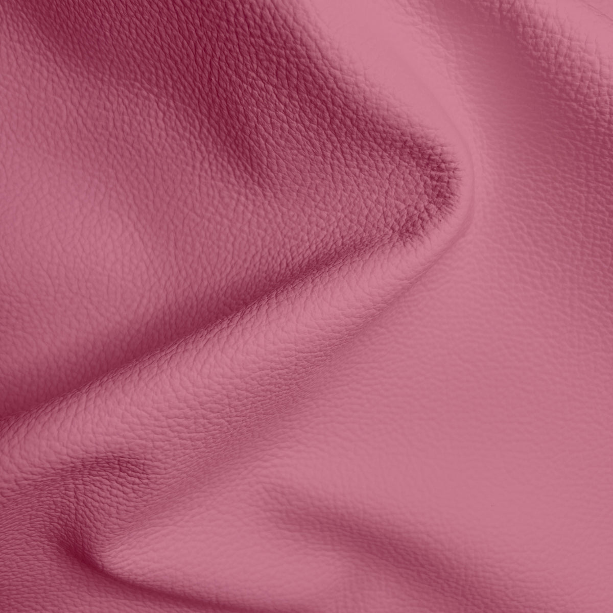 Cypress Cerise