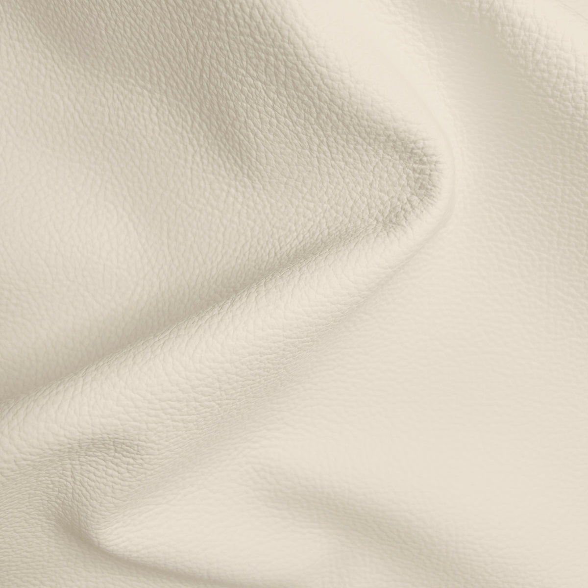 Cypress Ivory