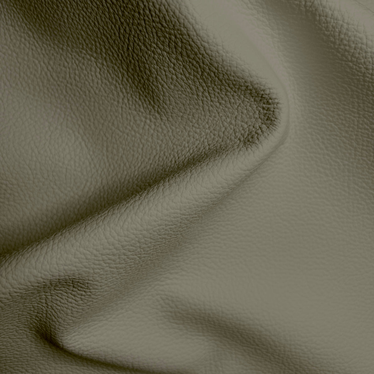 Cypress Khaki
