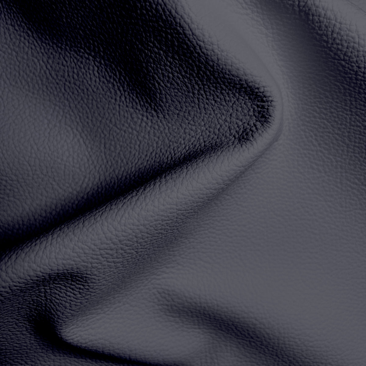Cypress Regal Blue