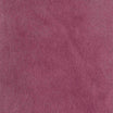 Dark Morello Cherry