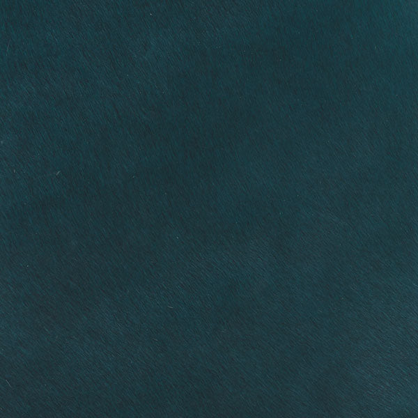 Crocodile Basic / 1-S34