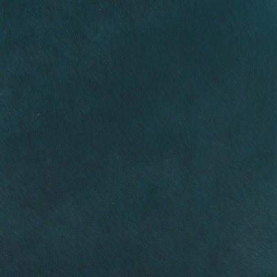Crocodile Basic / 1-S34