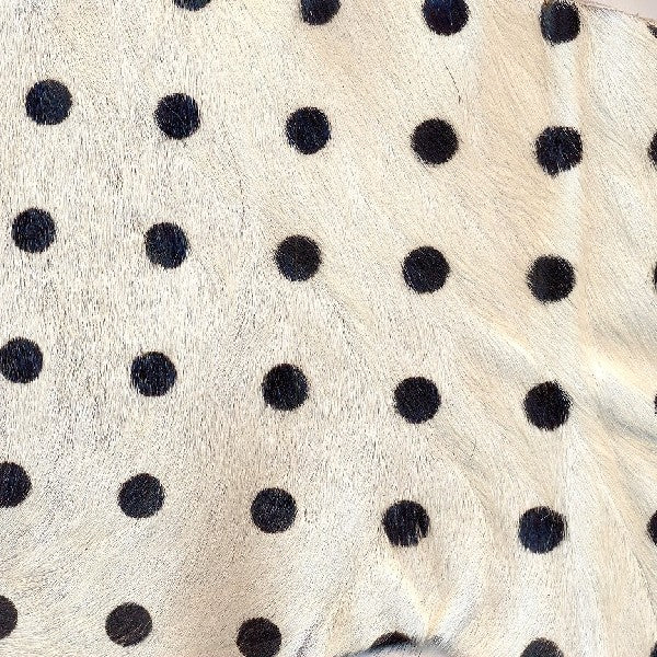 Dots Large / 6-44
