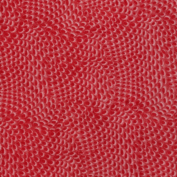 Feathers / C6-FA102