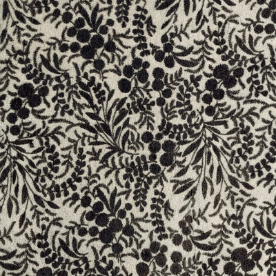 Fern / 6-204