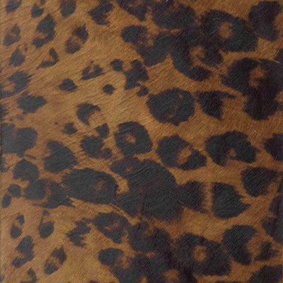 Golden Leopard / 3-79