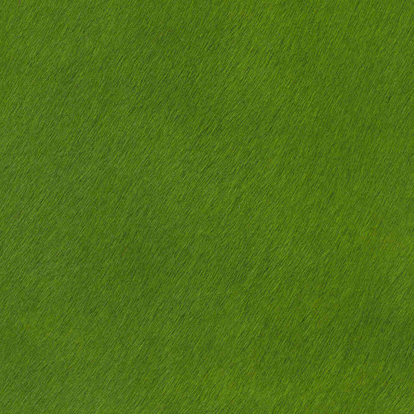 Crocodile Basic / 1-S34