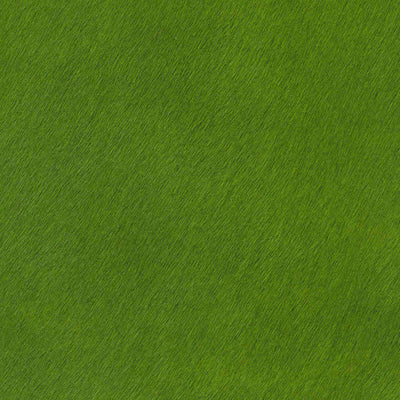 Crocodile Basic / 1-S34