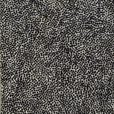 Guinea Fowl / 6-187
