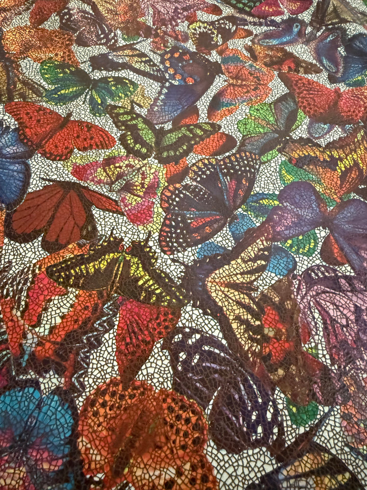Butterflies / C2-FA95