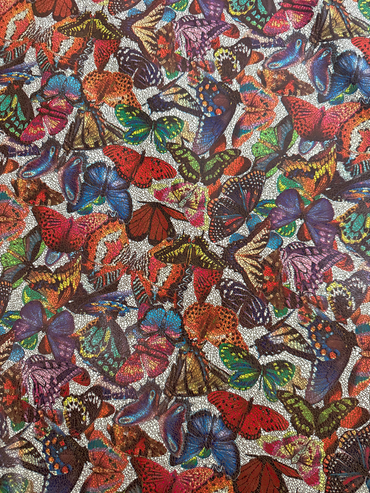 Butterflies / C2-FA95