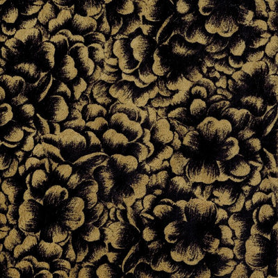 In Full Bloom / 5-198