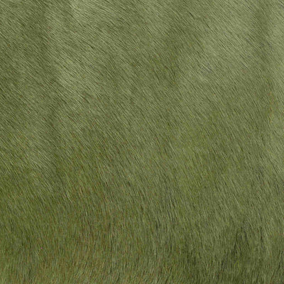 Crocodile Basic / 1-S34
