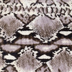 Ivory (as shown)