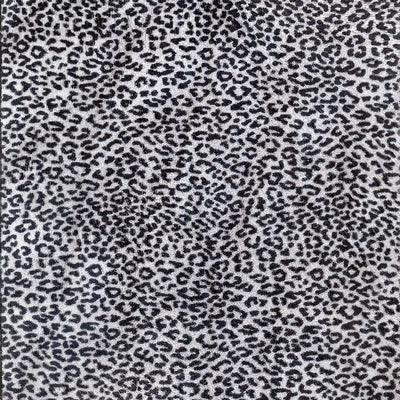 Leopard Mini / 6-169