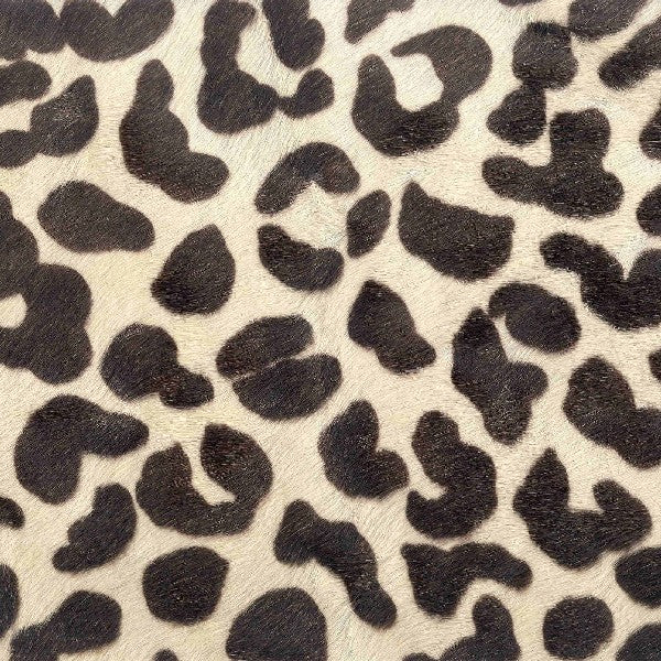 Leopard V / 6-5