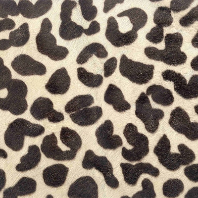 Leopard V / 6-5