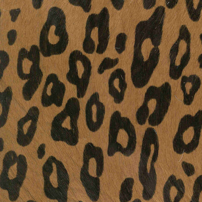 Leopard VI / 3-80