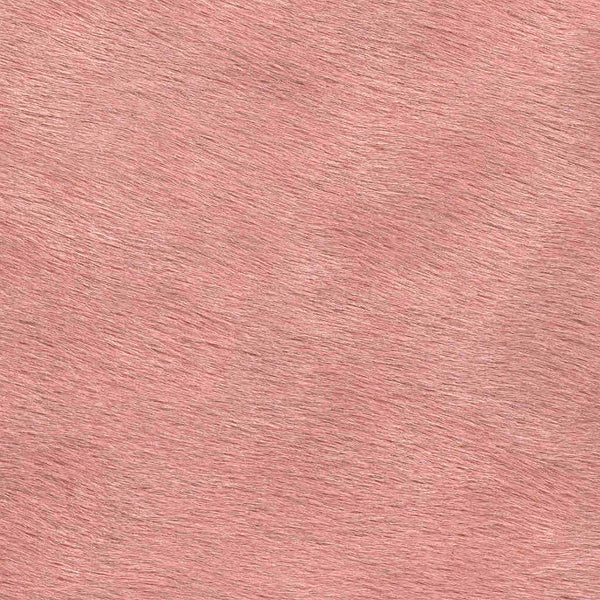 Leopard Doesn't Change it's Spots / 6-11
