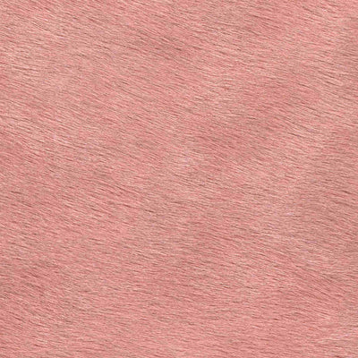 Leopard Doesn't Change it's Spots / 6-11