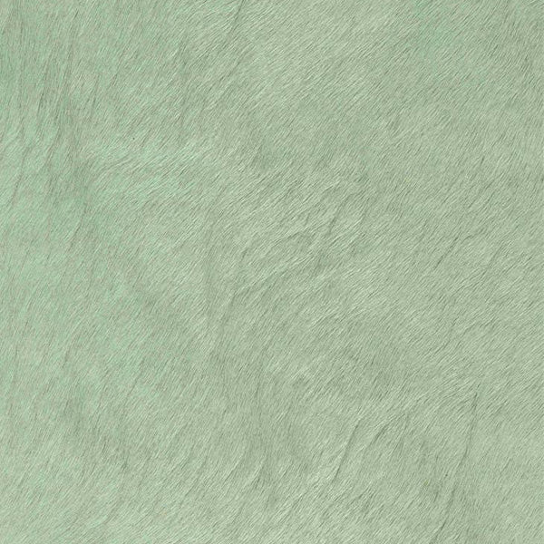 Mint / Article A40