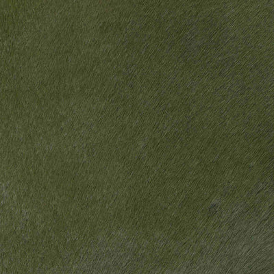 Crocodile Basic / 1-S34