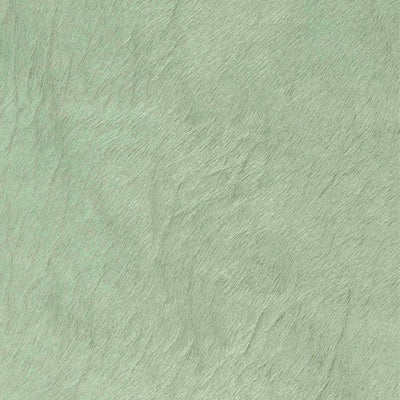Crocodile Basic / 1-S34