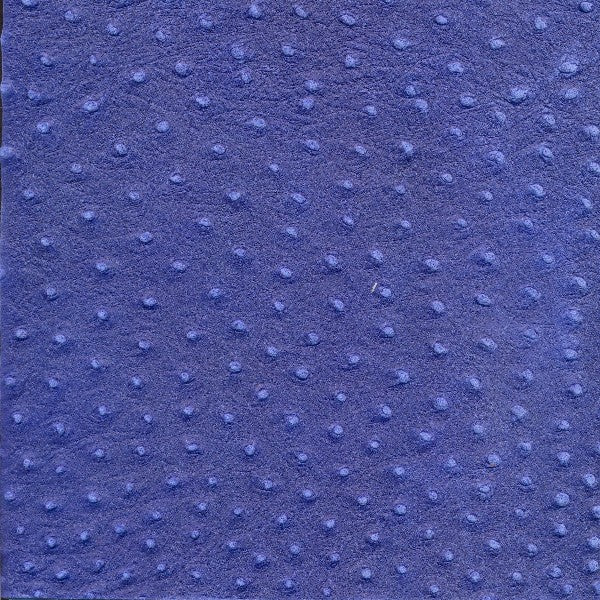Ostrich / CA16--S41