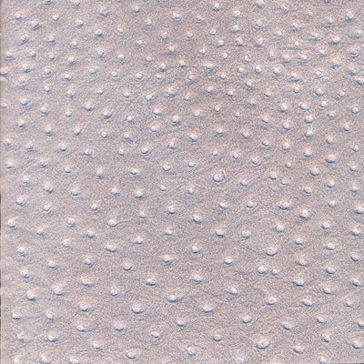 Ostrich / CA16--S41