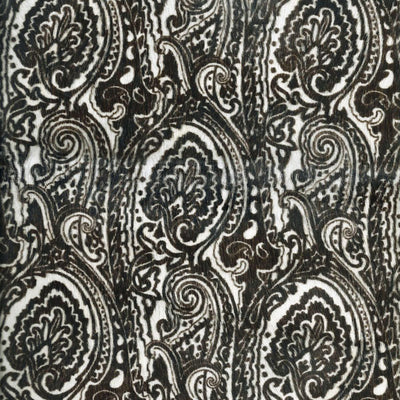 Paisley / 6-171