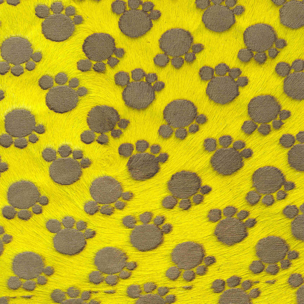 Paws Up / A4-E96