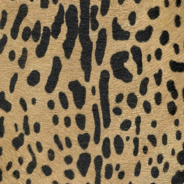 Polka Dot Zebra / 5-102
