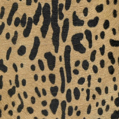 Polka Dot Zebra / 5-102