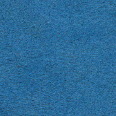 Crocodile Basic / 1-S34