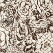 Ivory (as shown)