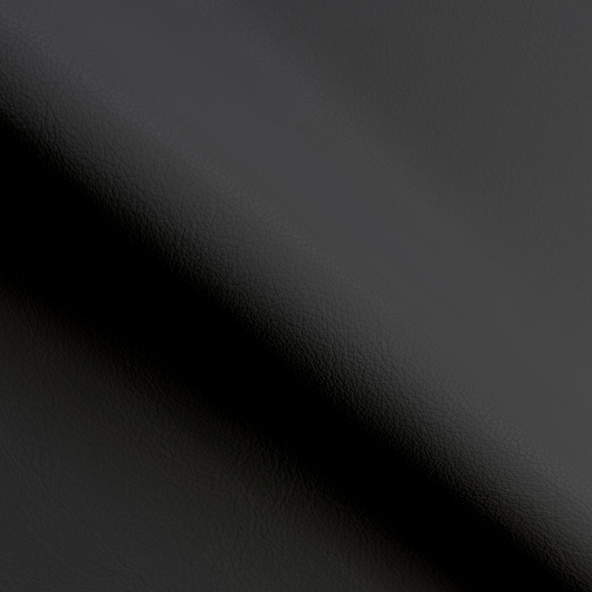 Black Ravel