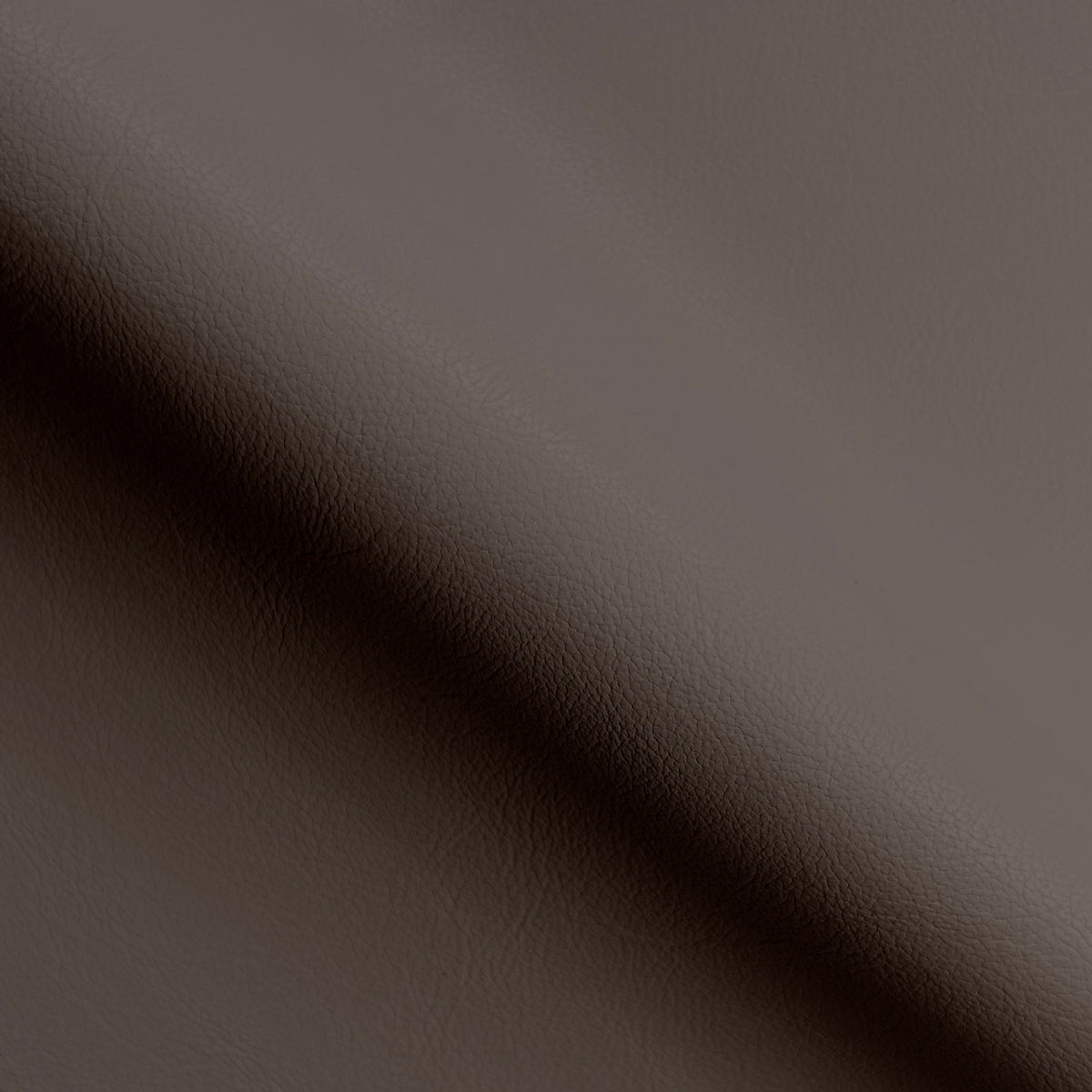 Brown Ravel
