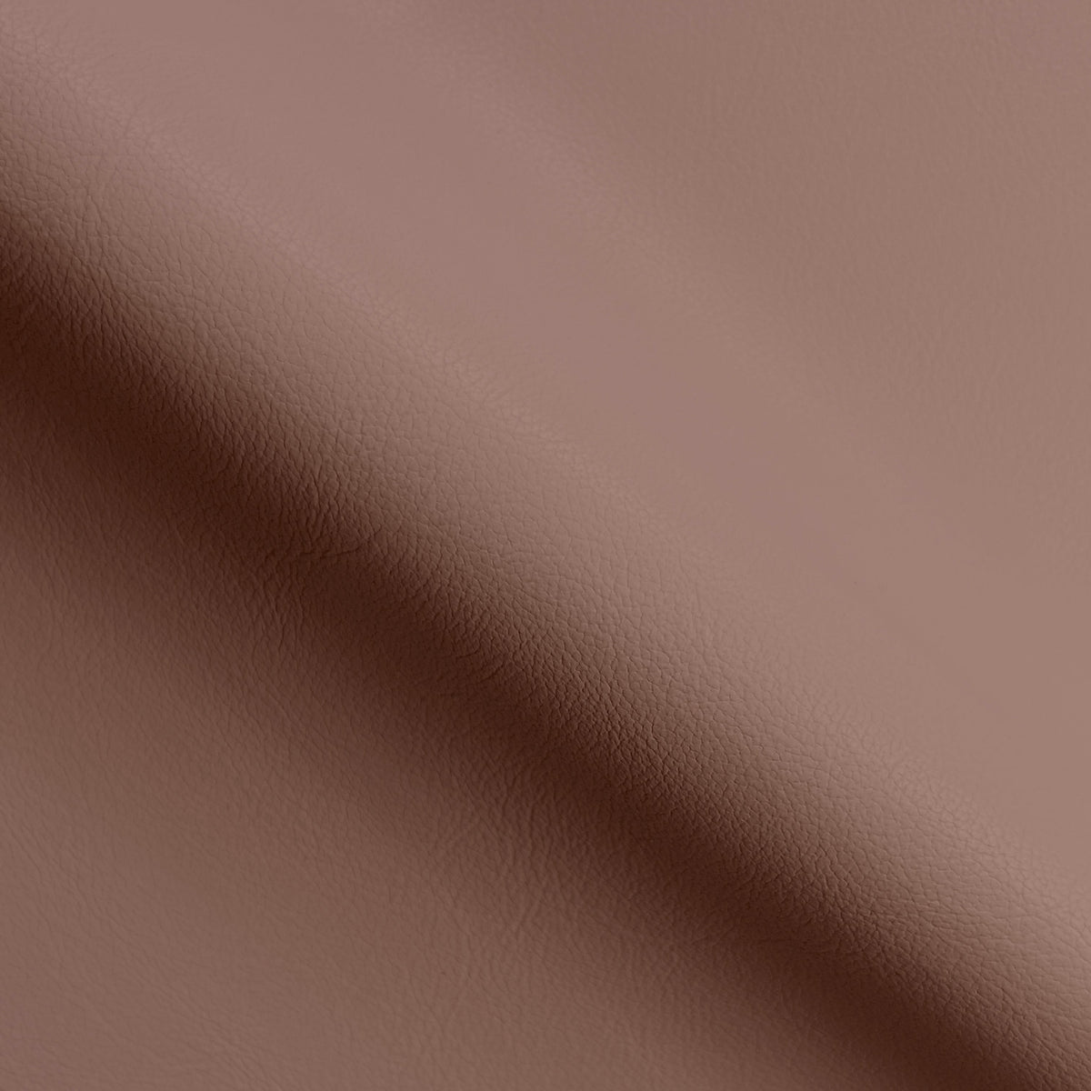 Dark Saddle Ravel