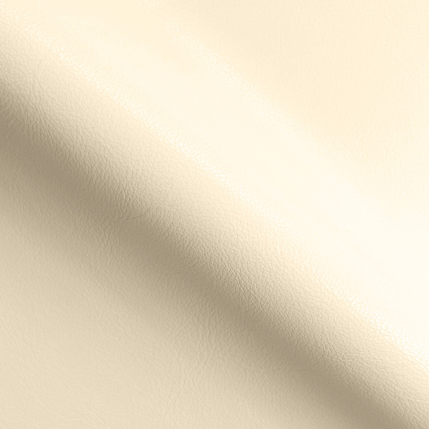 Ivory Ravel