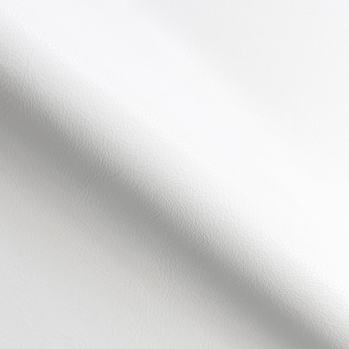 White Ravel
