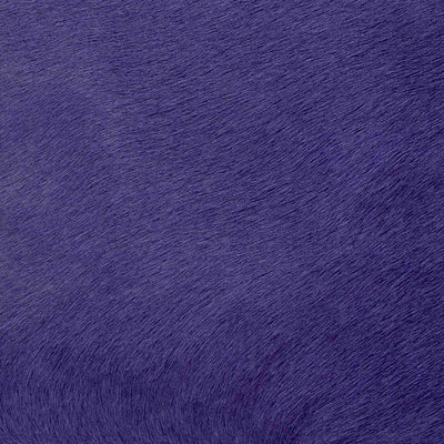 Crocodile Basic / 1-S34