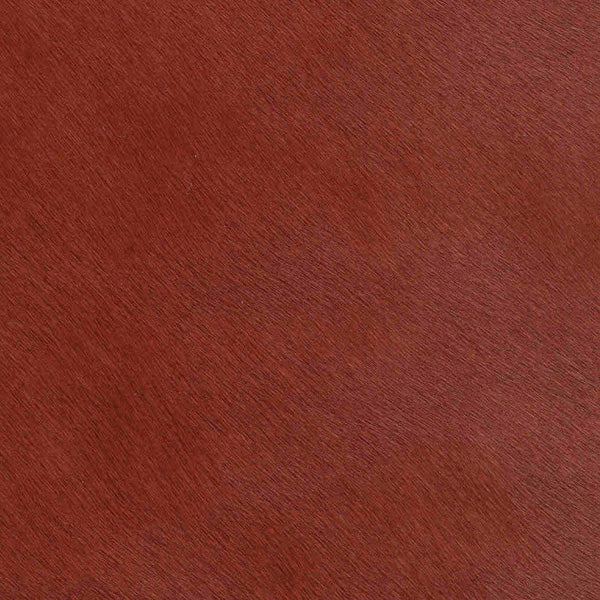 Crocodile Basic / 1-S34