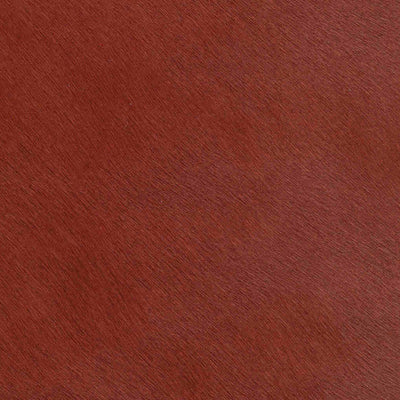 Crocodile Basic / 1-S34