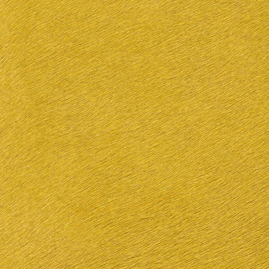 Leopard Calling / 6-0