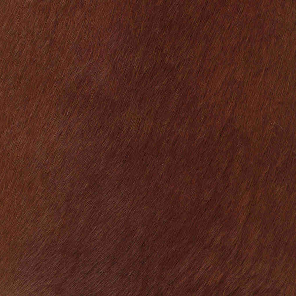 Leopard Doesn't Change it's Spots / 6-11