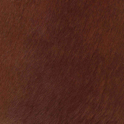 Leopard Doesn't Change it's Spots / 6-11
